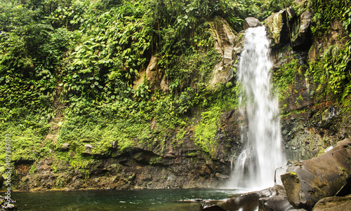 Fototapeta Naklejka Na Ścianę i Meble -  Wasserfall im Regenwald