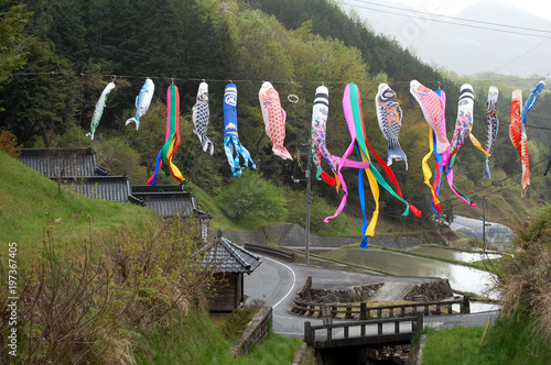 里山の鯉のぼり