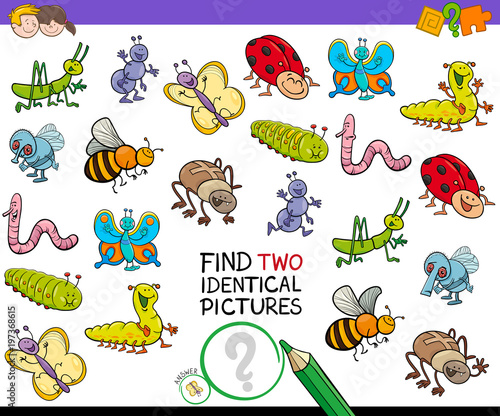find two identical bug pictures game for kids