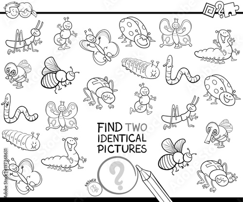 find two identical bugs pictures color book