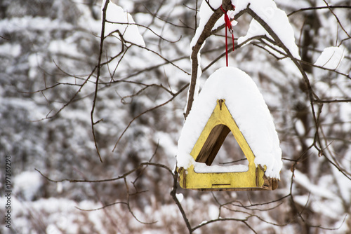 Winter bird feeder in the forest with snow