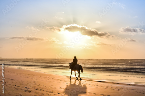 Horse Ride in front of the Sea in full Sunset, Moroccan coast, Casablanca, Morocco