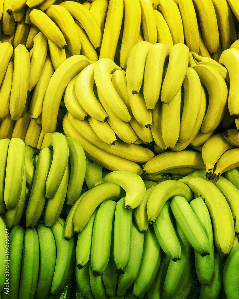 Bananas in boxes Green and ripe yellow bananas are lying in rows on the market Top view photo pattern