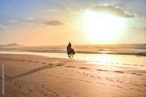 Horse Ride in front of the Sea in full Sunset, Moroccan coast, Casablanca, Morocco