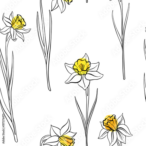 vector seamless pattern with narcissus