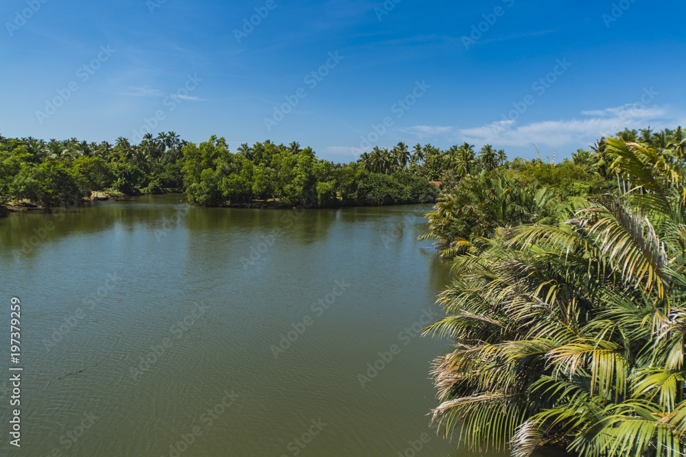 Lagoon near Negombo, Sri Lanka Lagoon near Negombo, Sri Lanka