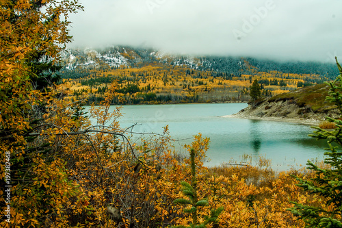 Fall colours and early snow on Sibbald Lake, Sibbald Lake Provincial Recreation Area, Alberta, Canada