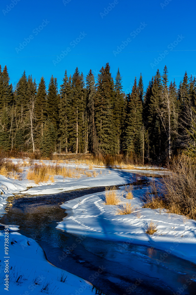 Snow shrouded Tay River, Tay River Provincial Recreation Area, Alberta, Canada