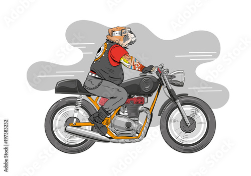 Dog is riding a classic motorcycle. Hand drawn vector illustration design concept.