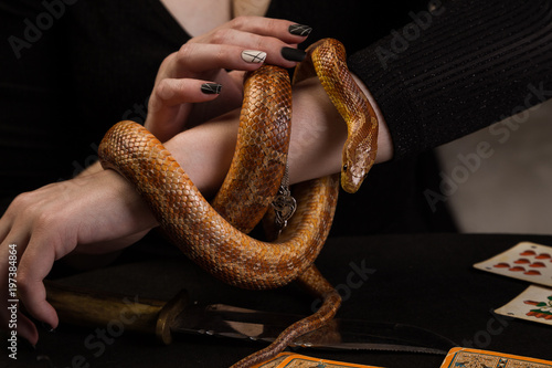 The snake wrapped around the rings around the amulet