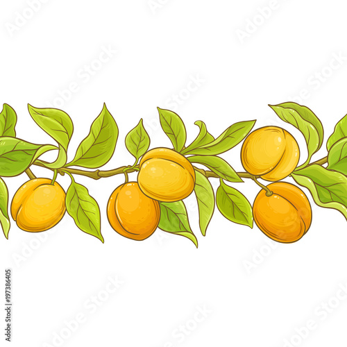 apricot seamless pattern