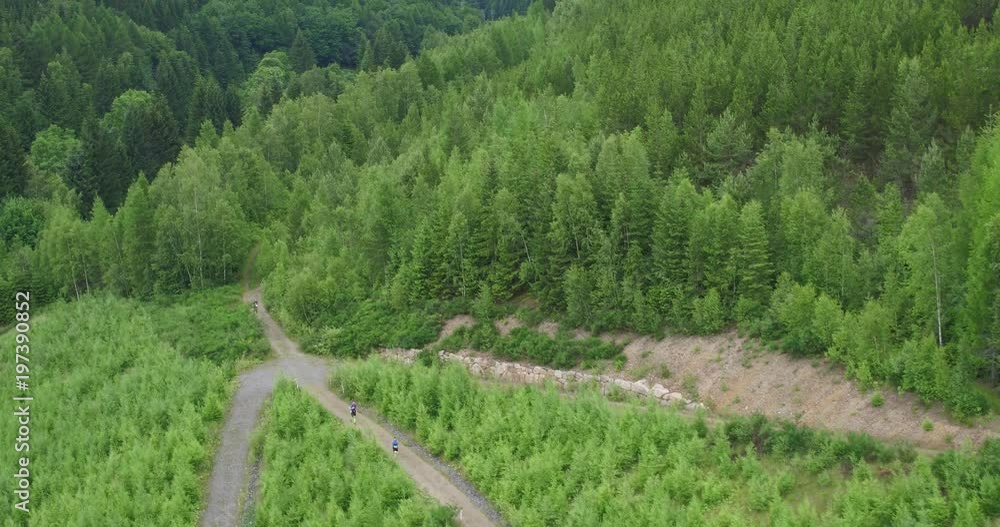 Forest beautiful landscape with sun - aerial drone moving above green trees - Nature 4k Forest beautiful landscape with sun - aerial drone moving above green trees - Nature 4k