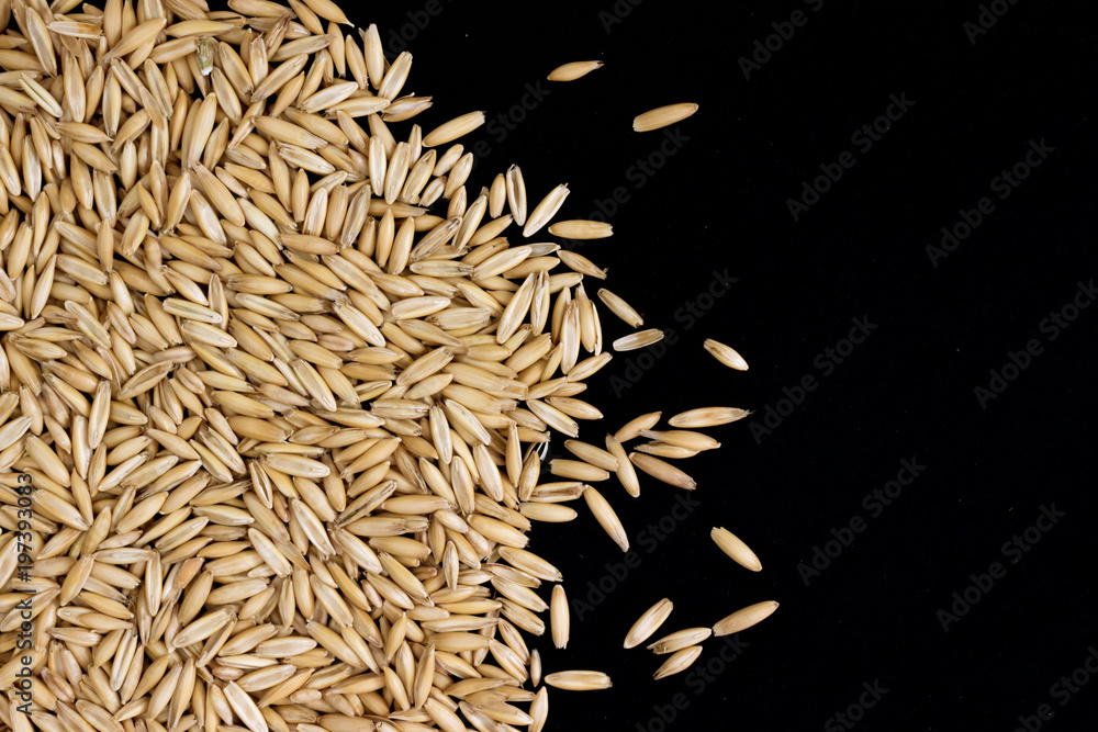 Handful of oat seeds on black background
