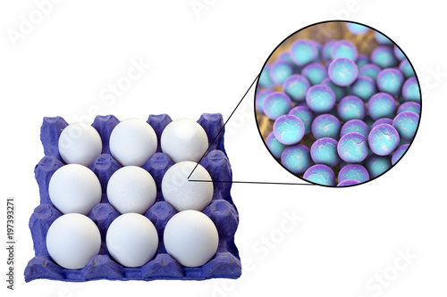 Contamination of eggs with Staphylococcus aureus bacteria, medical concept for transmission of staphylococcal food poisoning, 3D illustration photo