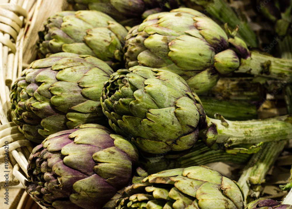 Fototapeta premium natural 