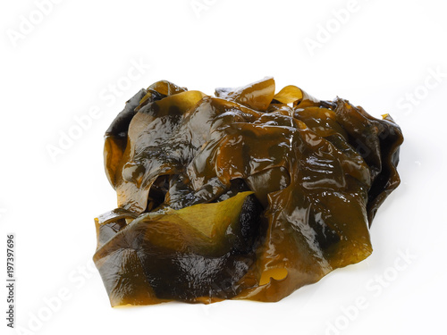 ALGA WAKAME – WAKAME SEAWEED Wakame is a sea vegetable or edible seaweed. Basic compound of the Japanese Miso Soup. Binomial name: Undaria Pinnatifida.