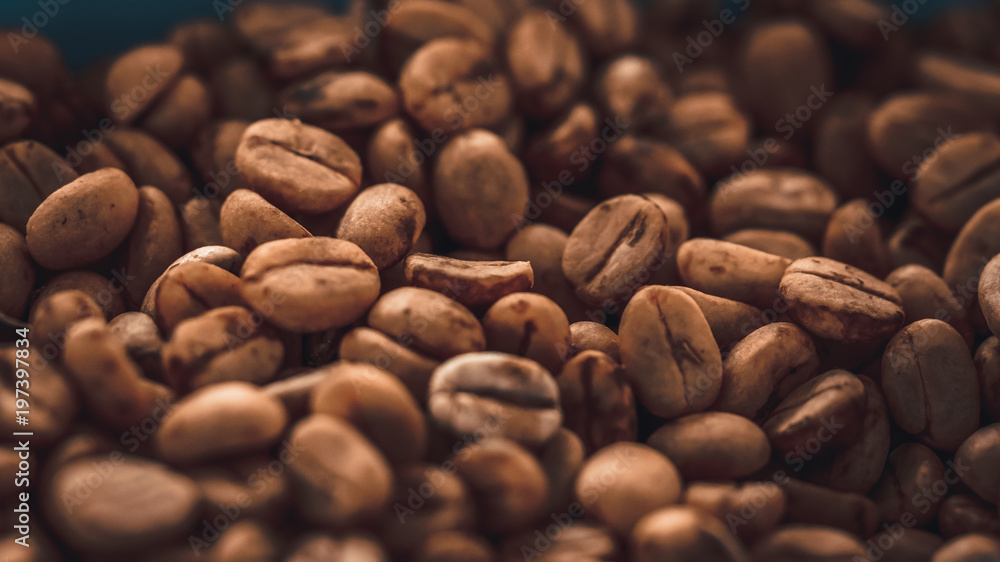 Roasted Coffee Beans Roasted Coffee Beans
