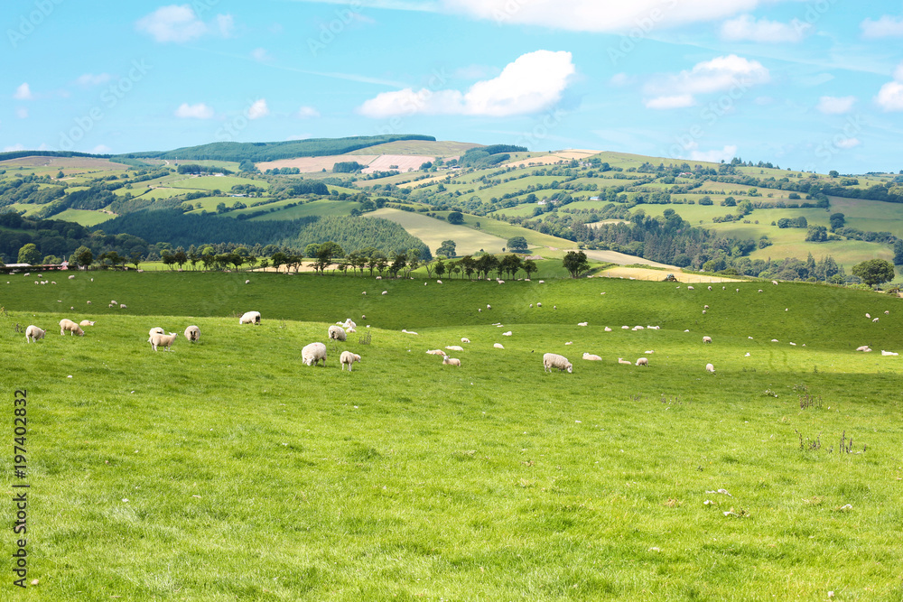 Scenic landscape in Wales, Great Britain