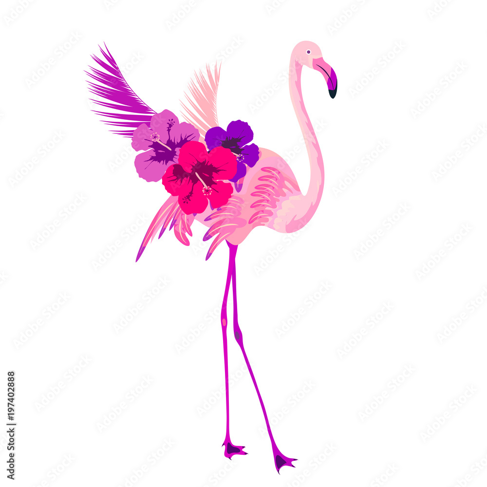 Fototapeta Beautiful pink flamingo, isolated on white