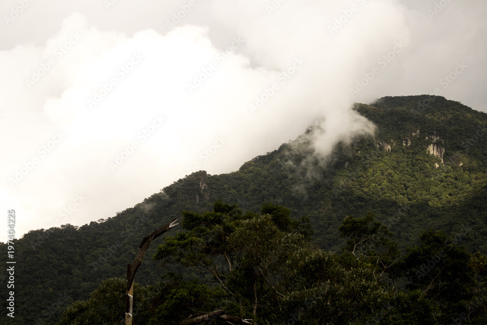 A nature landscape of a large green mountain, with fog flying behind them, a peaceful and steep place to visit not coastal Sao Paulo.