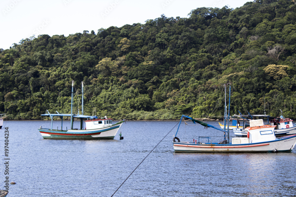 Fishing and tourism boats docked at the pier in several sizes and colors on the coast of São Paulo Fishing and tourism boats docked at the pier in several sizes and colors on the coast of São Paulo