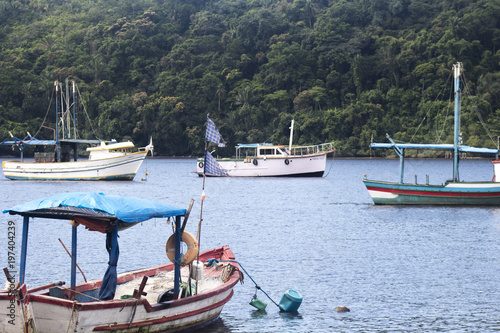 Fishing and tourism boats docked at the pier in several sizes and colors on the coast of São Paulo