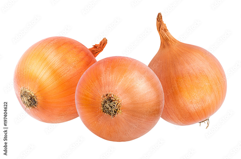 Fototapeta premium Fresh onion isolated on white background with clipping path
