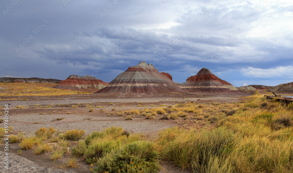 Painted desert formations