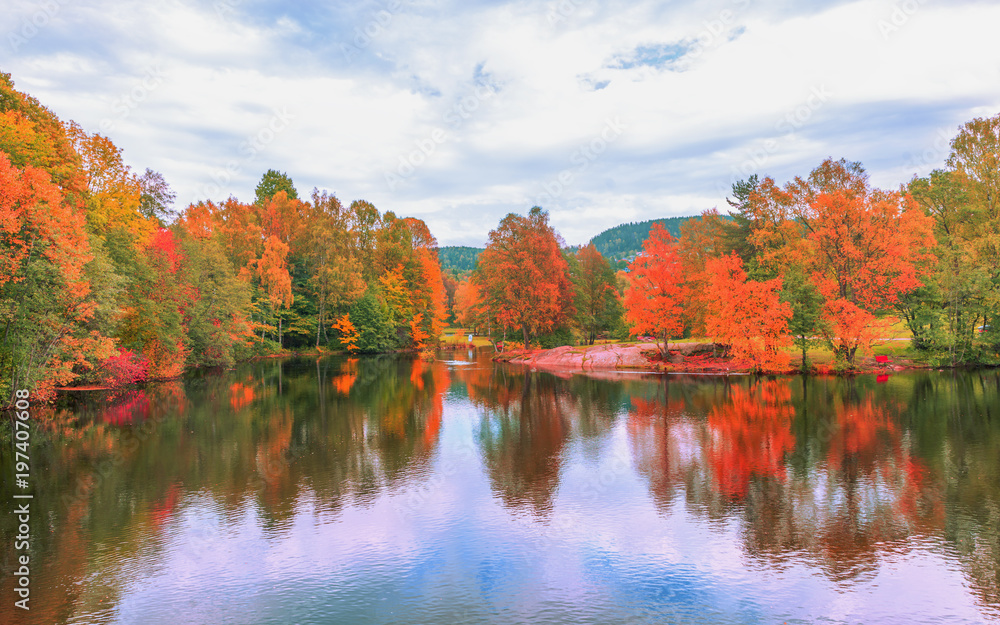 Fototapeta premium Fall colors. 