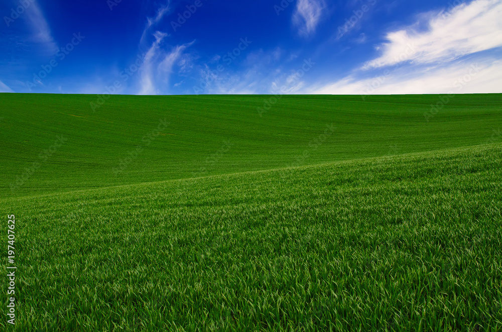 Abstract natural idyllic background with green grass and cloudy blue sky