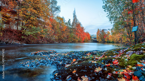 Photography Autumn colors.