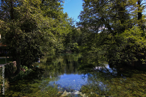 River passing through trees