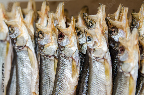 Dried smelt. Vertical. Macro.