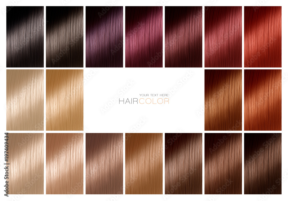 Color chart for hair dye. Tints. Hair color palette with a range of  swatches. Stock Photo | Adobe Stock
