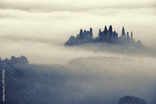 Beautiful foggy sunrise in Tuscany, Italy with vineyard and trees. Natural misty background