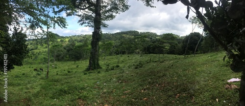 naturaleza