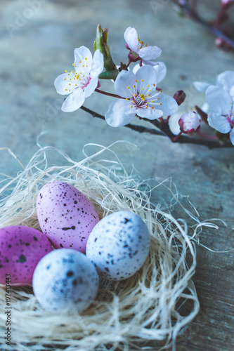 View of a straw nest with white and pink freckled Easter eggs and a bunch of fresh spring tree branches blooming with white and pink flowers on old rustic wooden background. Happy Easter or Spring bac