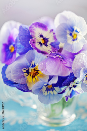 Photo of a beautiful purple pansy flowers close-up in a mug on a light background. Beautiful and delicate flowers. 