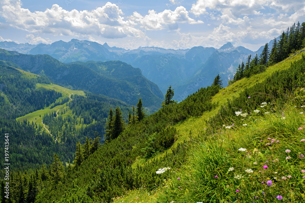 Alpine scenery with green mountain slope