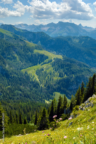 Summer alpine landscape, wooded mountains