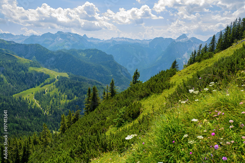 Alpine scenery with green mountain slope © Yury Kirillov