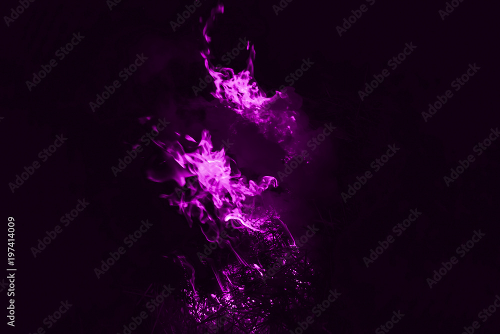 Violet flame. Fire. Burning of rice straw at night.