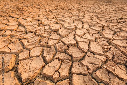 arid area land surface, cracked soil in summer season