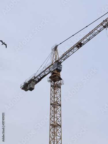 Working Crane