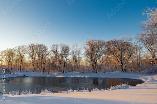 Iced-over Pond © Dave