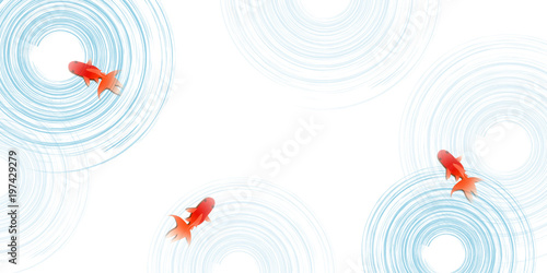 夏　金魚　水　背景