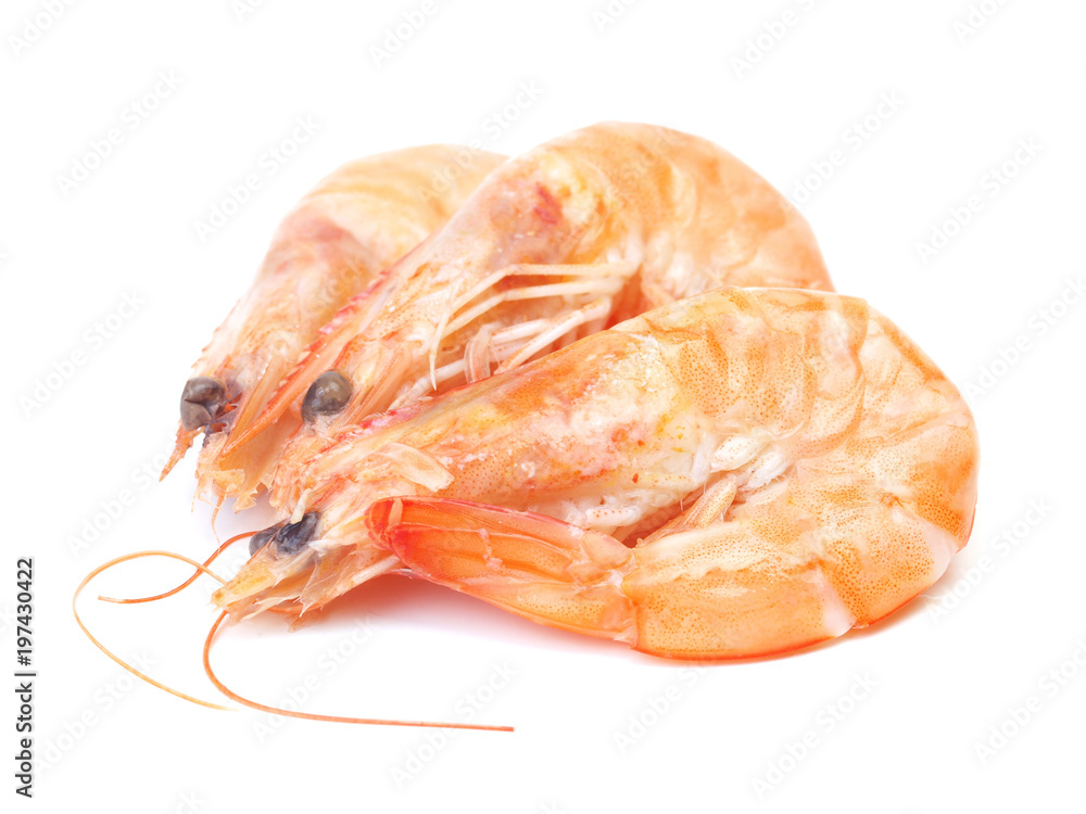 Fresh shrimps Fresh shrimps