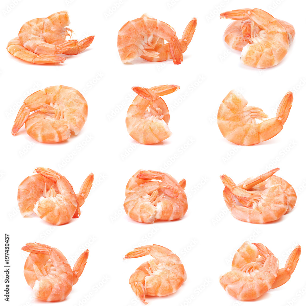 Fresh shrimps collection