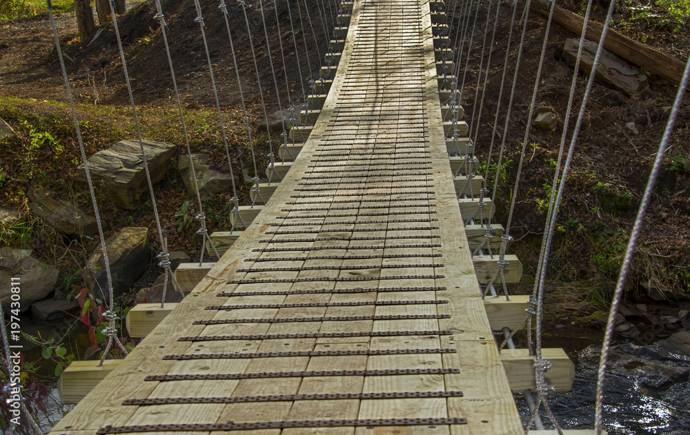 Suspended Trail Bridge 