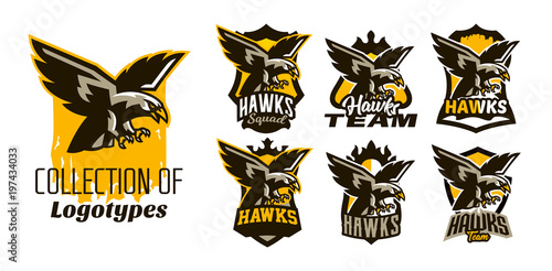 A colorful set of logos, stickers, emblems of flying eagle. Bird, hunter, predator, dangerous animal, shield, lettering. Mascot sports club, vector illustration